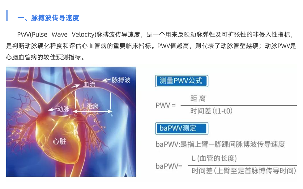 脈搏波速測(cè)定儀