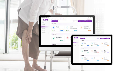 老年人綜合能力評估系統(tǒng)